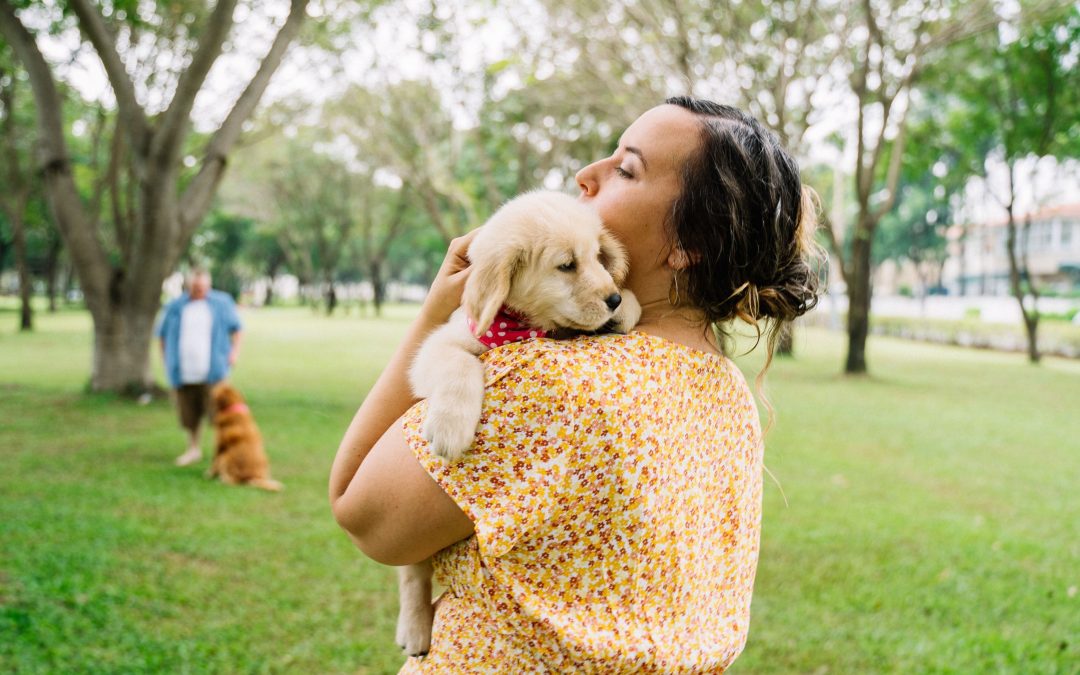 The Ultimate Pet Care Essentials Checklist for New Pet Parents